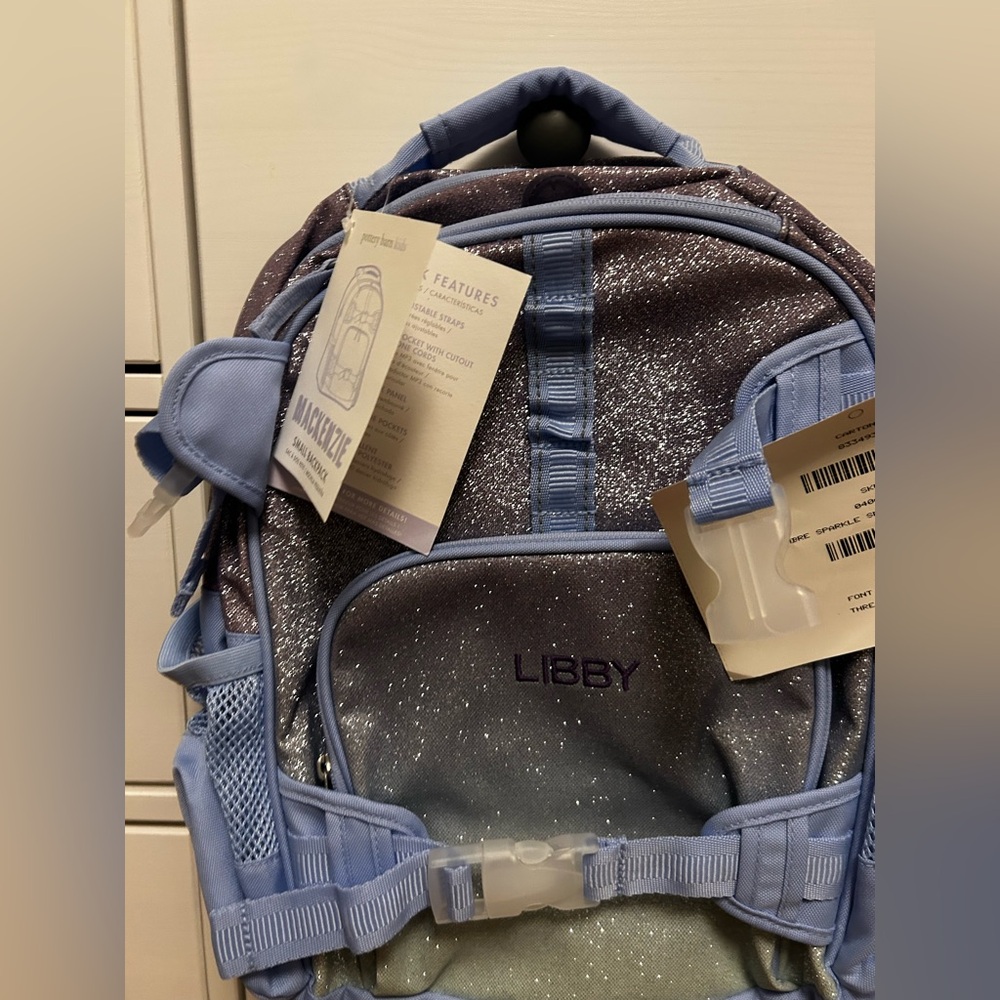 Pottery Barn Kids Blue and Silver Backpack